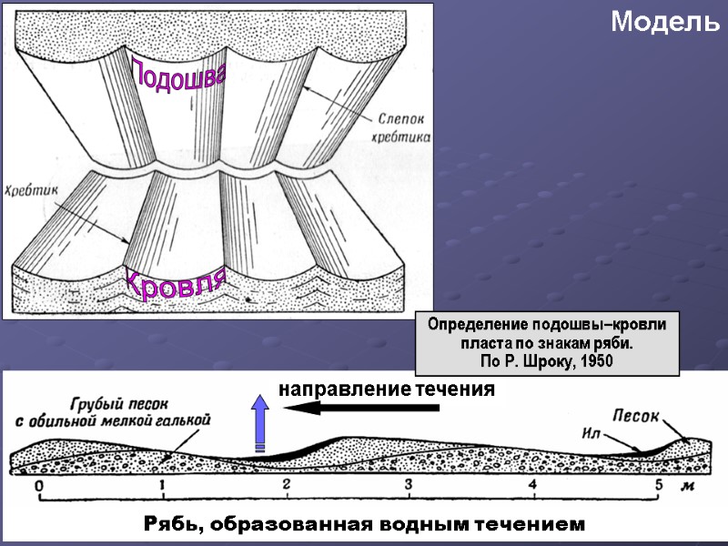 Модель Рябь, образованная водным течением направление течения Определение подошвы–кровли пласта по знакам ряби. 